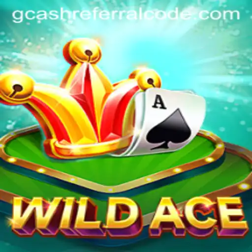 Exploring WildAce: The Game Revolutionizing Adventure and Commerce